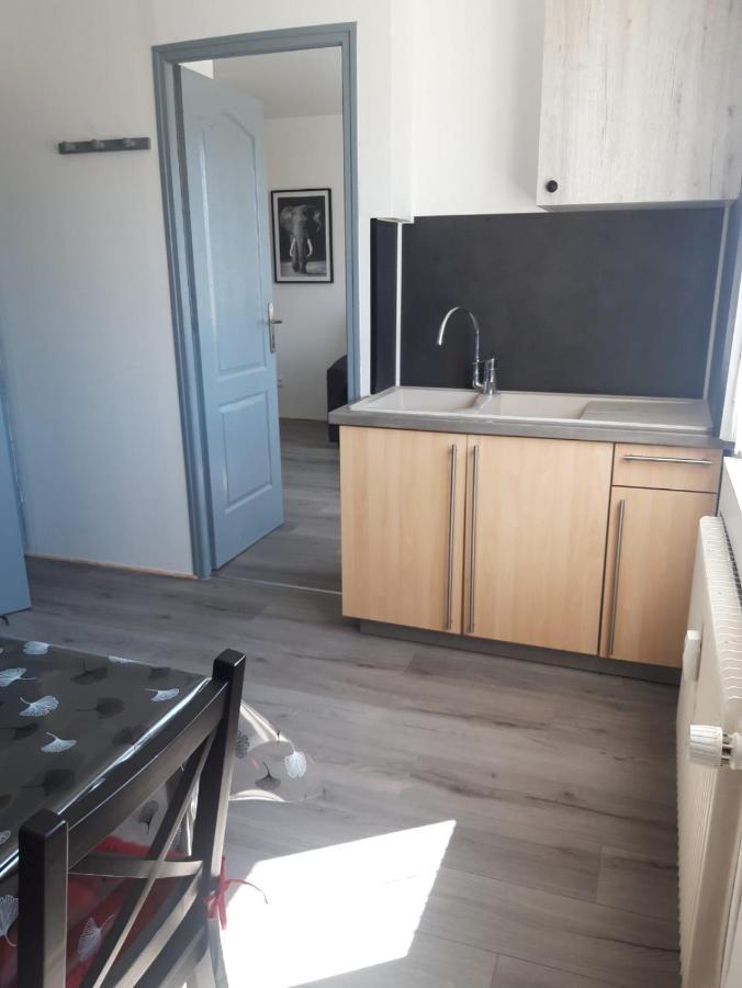 Apartament Gambetta Insolite Chambéry Zewnętrze zdjęcie
