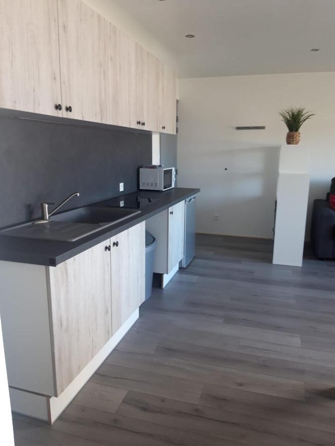 Apartament Gambetta Insolite Chambéry Zewnętrze zdjęcie